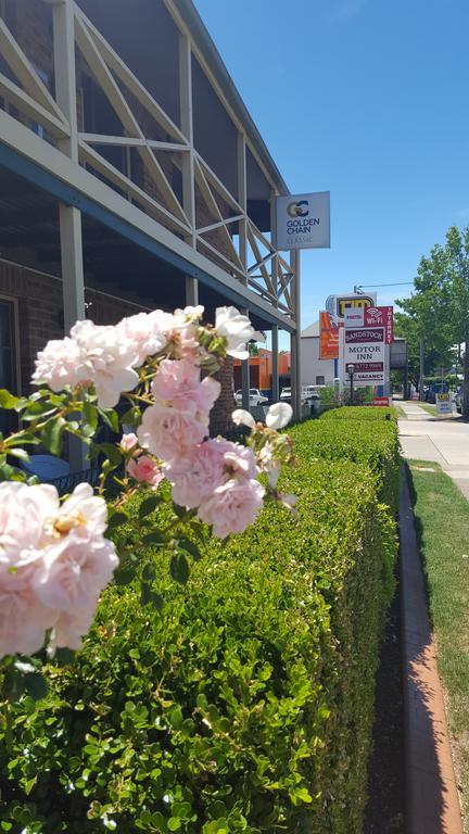 Sandstock Motor Inn Armidale Bagian luar foto